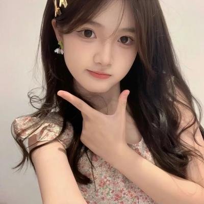 飞机总动员：打火英雄